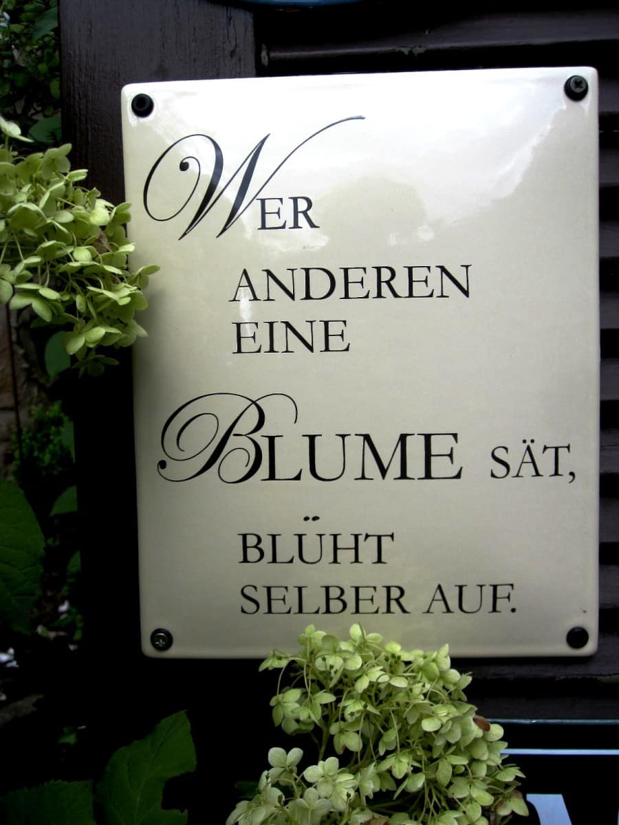 Spruchschild-Blume